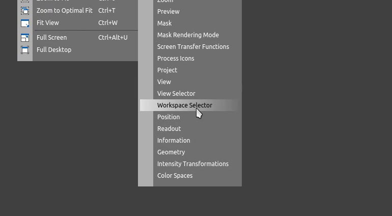 Tool Bar - Workspace Selector